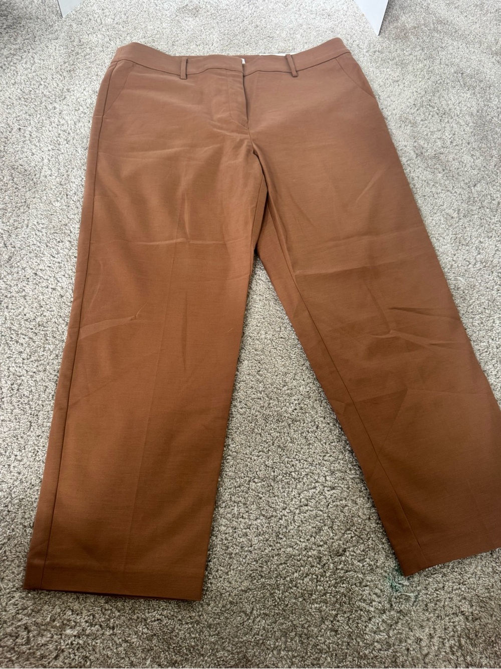 NWT Loft women’s  Brown Dress Pants
